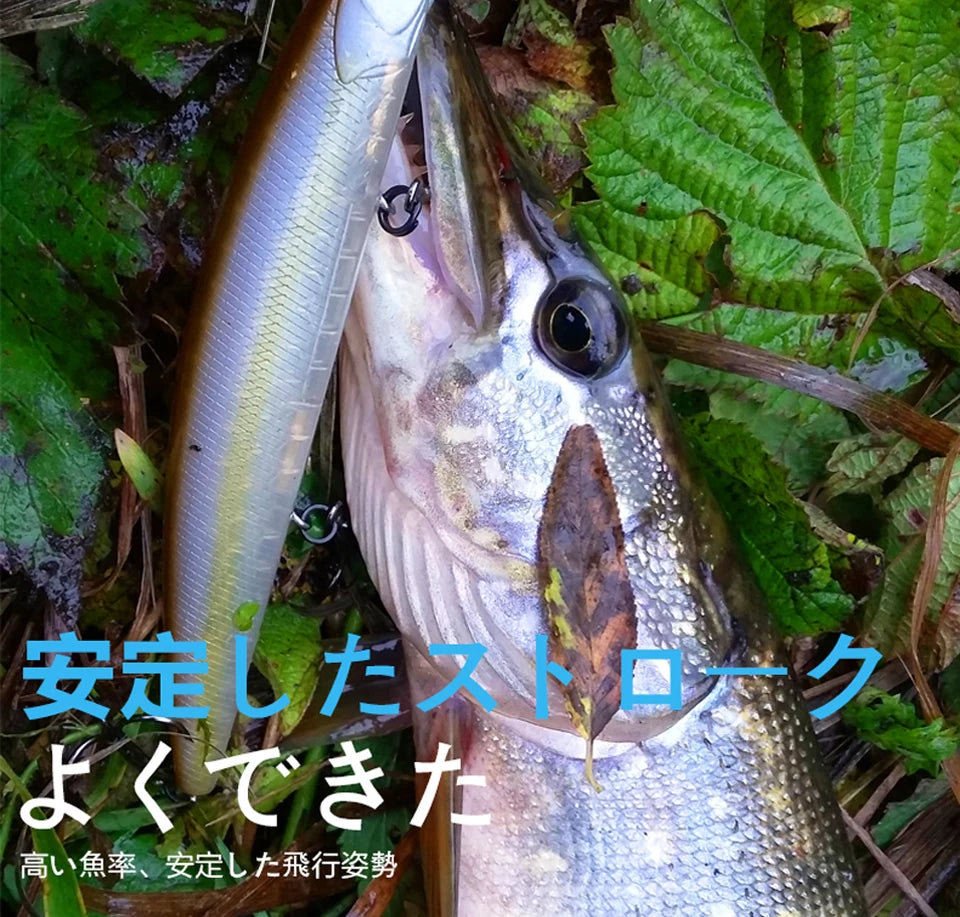 Leurre minnow Bearking